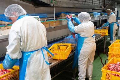 Góc khuất ngành công nghiệp thịt tại Đức và cái bẫy mang tên nô lệ thời hiện đại