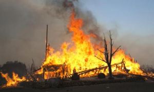 17 người chết và 150 người mất tích vì cháy rừng tại California, Mỹ