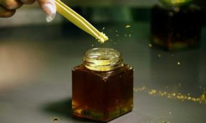 Pháp cảnh báo về „mật ong tráng dương“
