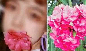 Trả giá vì trào lưu ngậm hoa có độc chụp ảnh