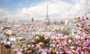 Giải mã lí do nhất định phải đến Paris vào mùa Xuân?
