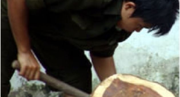 Ôi! Những người Việt Nam xấu xí...