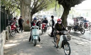Khi người Việt lái xe