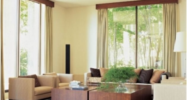 Bài trí cây xanh trong nhà một cách khoa học