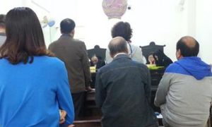 Nữ Việt kiều Đức đòi chia 4 căn nhà sau ly hôn