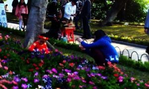Giẫm đạp, ăn cắp hoa: Người Hà Nội buồn, xấu hổ
