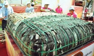 Sau bánh chưng, sẽ có bánh trung thu khổng lồ?