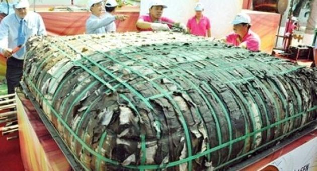 Sau bánh chưng, sẽ có bánh trung thu khổng lồ?