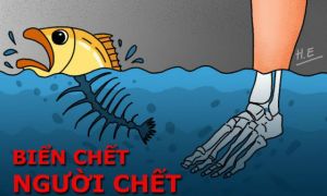 Đất nước mình ngộ quá phải không anh