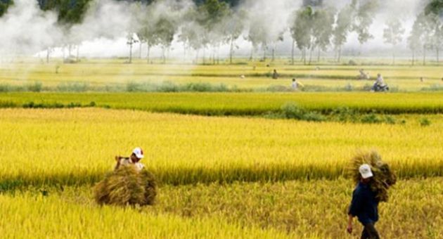 “ Đất nước mình không ngộ quá đâu em!” - Hồi đáp bài thơ