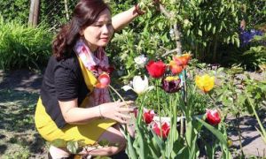 Thiên đường hoa của một Phụ nữ Việt trên nước Đức