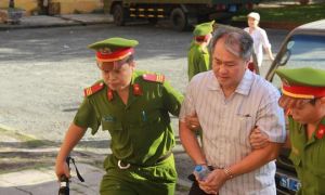 Sâu nhiều quá! - Một bầy sâu là “chết” đất nước này