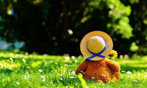 Có thể đổi tên ở Đức được không?