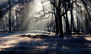 Kỹ năng sống trẻ ở Đức được dạy