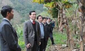 Khi cơ quan có Đại tang