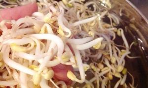 Mẹ Việt ở Đức: Làm giá đỗ mập mạp cực dễ bằng giấy và khăn