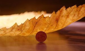 Chỉ với vài Cent, người Đức đã dạy Tôi bài học lớn vô cùng ý nghĩa