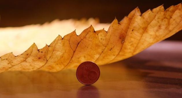 Chỉ với vài Cent, người Đức đã dạy Tôi bài học lớn vô cùng ý nghĩa