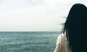 Di dân Việt