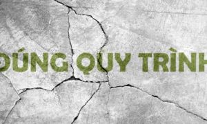 Khi ngưới dân hoảng loạn đúng quy trình