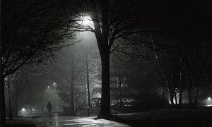 Vài lời về những