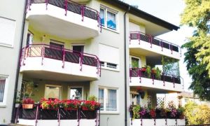 Người Việt ở Đức: Nơi thực phẩm không thiếu, nhưng thiếu rau thơm