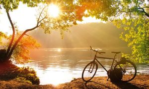 Mùa thu cô đơn ở Đức