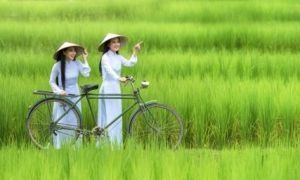 Người Hàn Quốc coi thường phụ nữ Việt đến thế sao?