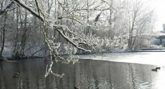 Bạn thích điều gì ở nước Đức ?