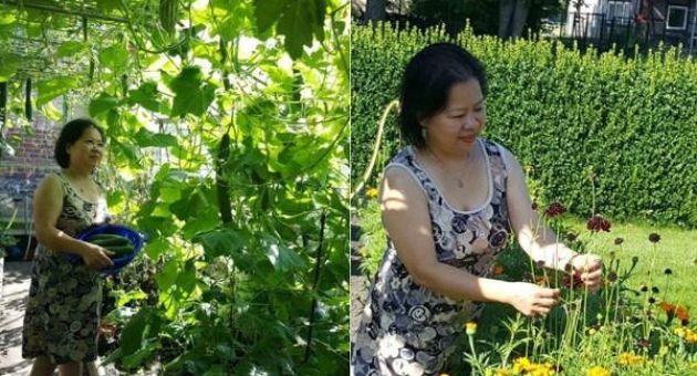 Ngưỡng mộ khu vườn ‘không thiếu thứ gì’ của mẹ Việt ở Đức từng không biết cuốc...