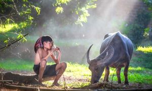 Người xưa giáo dục con cái như thế nào?