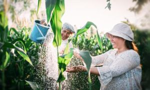 ĐIỀU BỊ XEM NHẸ: Đừng bao giờ xem nhẹ ý kiến của người bạn đời