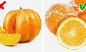 Cơ thể thơm tự nhiên khiến ai cũng muốn gần với 10 loại thực phẩm này