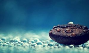 10 thực tế cuộc sống bạn phải nhớ