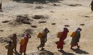 Các nhà khoa học đã phát triển được một thiết bị thu được 40 lít nước sạch mỗi...