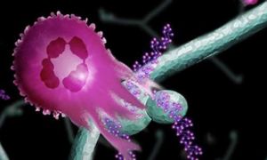 Tin vui: Cách thử máu mới có thể tìm ra 8 loại ung thư thường thấy