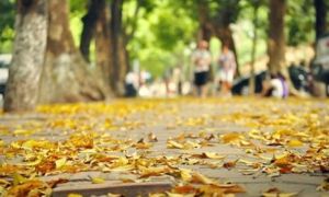 Nhớ Hà Nội một thời