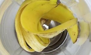 Mẹo cực hay giúp hoa, cây cảnh sắp chết héo cỡ nào cũng tươi tốt chỉ sau vài...