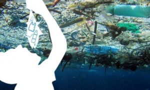 Gieo nhân nào gặt quả nấy: Tiện tay vứt rác nhưng thực ra chúng ta đang ăn rác...