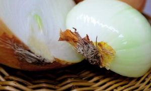 Mách bạn 19 mẹo vệ sinh mọi ngóc ngách trong nhà bếp sạch như lau như li