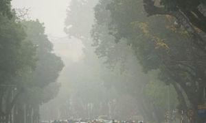 Sương mù là gì? Tại sao sương mù thường có vào mùa đông?