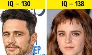 Bạn thực sự rất thông minh nếu có những dấu hiệu kỳ cục này, dù bạn có tin hay...