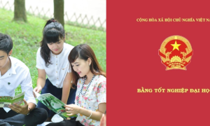 Từ tháng 7/2019, bằng đại học chính quy và tại chức có giá trị ngang nhau