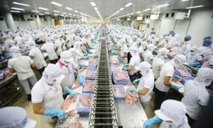 Trung Quốc ra sức SĂN doanh nghiệp Việt để mượn danh bán hàng sang Mỹ
