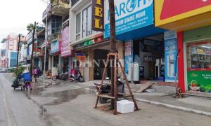 Quảng Ninh: Lạ đời với dự án trăm tỷ trồng cây dưới lòng đường