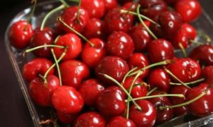Sự thật kinh khủng về những thùng Cherry Mỹ bán tràn lan trên mạng khiến ai...
