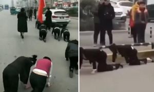 Công ty Trung Quốc phạt nữ nhân viên bò trên phố gây phẫn nộ