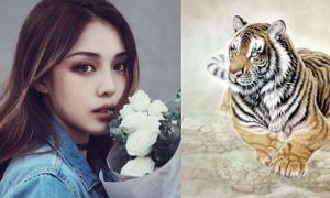 Đây chính là 4 con giáp ra ngoài là khiêng tiền về trong 5 ngày tới đây