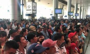 Biển người đón Việt kiều về quê ăn Tết ở sân bay Tân Sơn Nhất