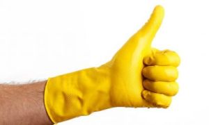 Tuyển nhân sự: Đại sứ quán Đức Hà Nội tuyển nhân viên tạp vụ từ 1.4.2019